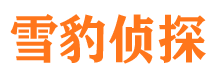 历下市私家侦探